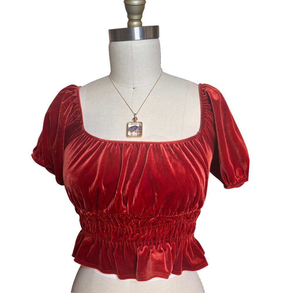 Fairycore Velvet Crop Top Womens Small Burnt Orange Smocked Puff Sleeve